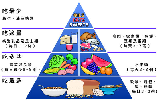 食物金字塔